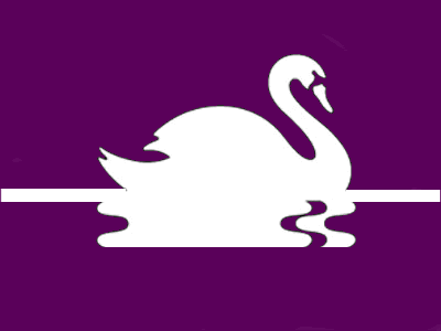 Image of Nottingham CRT logo