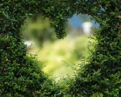Image of bookkeepers Nottingham Valentines day heart